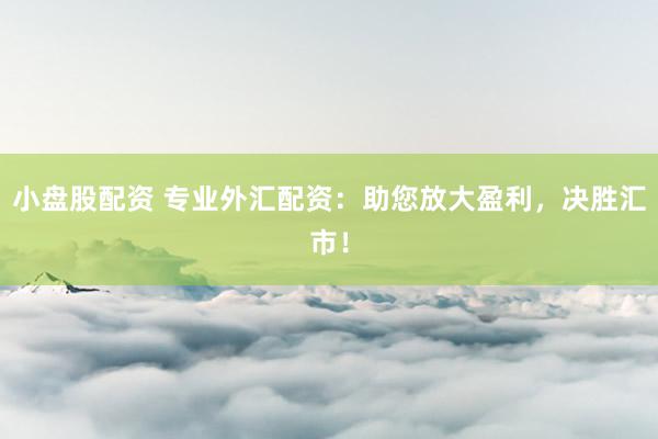 小盘股配资 专业外汇配资：助您放大盈利，决胜汇市！