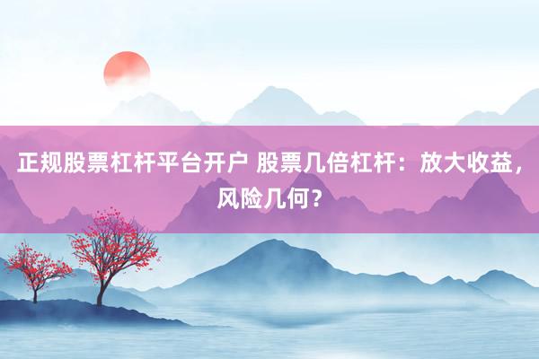 正规股票杠杆平台开户 股票几倍杠杆：放大收益，风险几何？