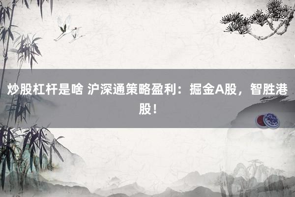 炒股杠杆是啥 沪深通策略盈利：掘金A股，智胜港股！