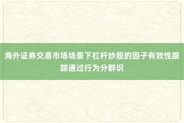 海外证券交易市场场景下杠杆炒股的因子有效性跟踪通过行为分群识