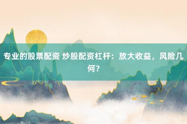 专业的股票配资 炒股配资杠杆:放大收益,风险几何?