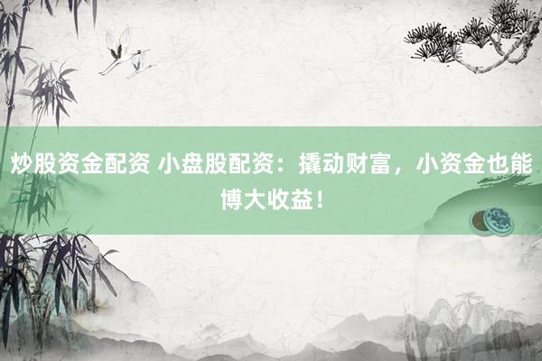 炒股资金配资 小盘股配资：撬动财富，小资金也能博大收益！
